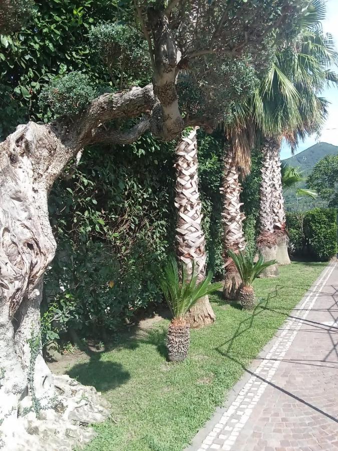 Villa Agata Forchia Екстер'єр фото
