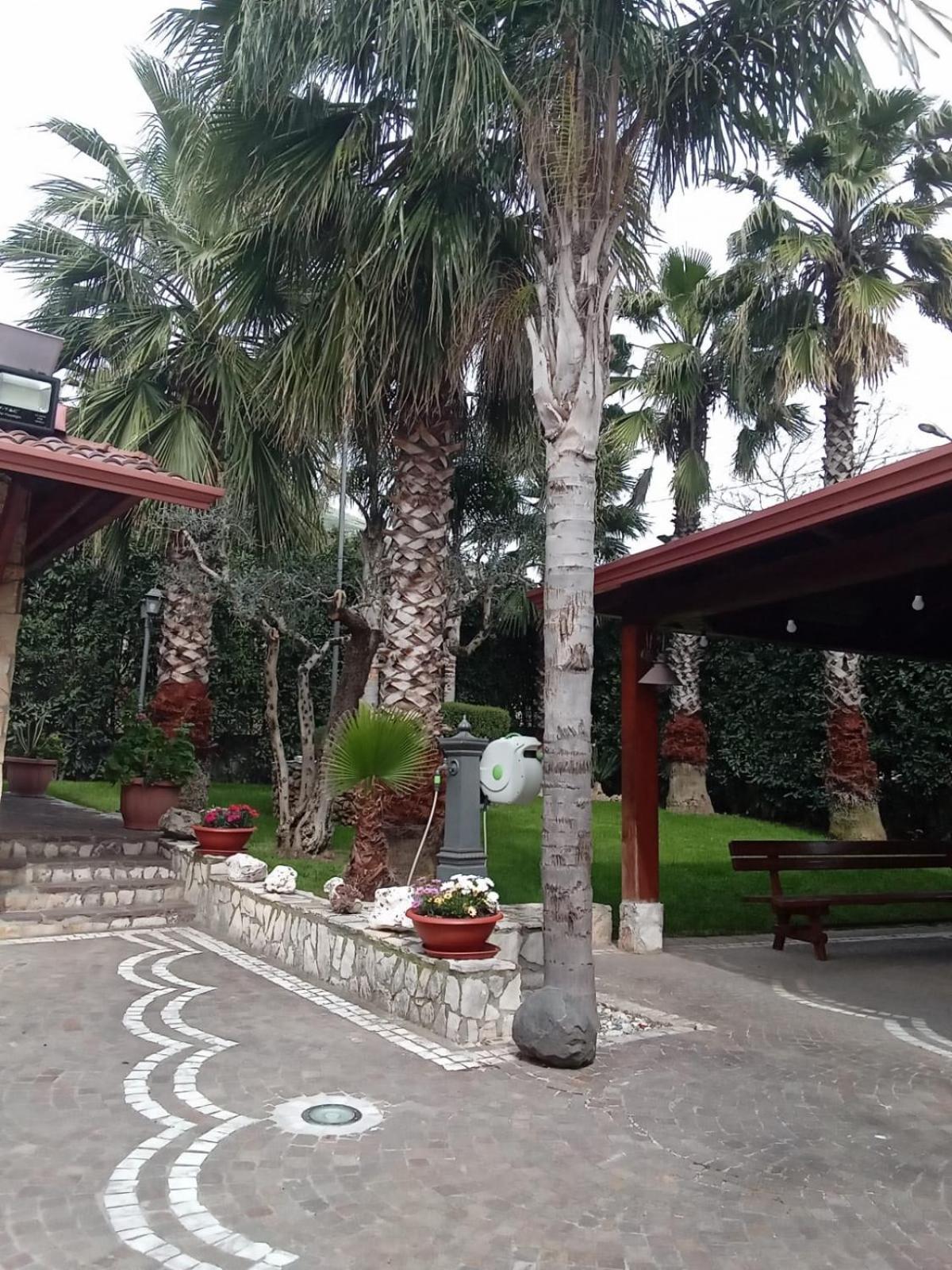 Villa Agata Forchia Екстер'єр фото